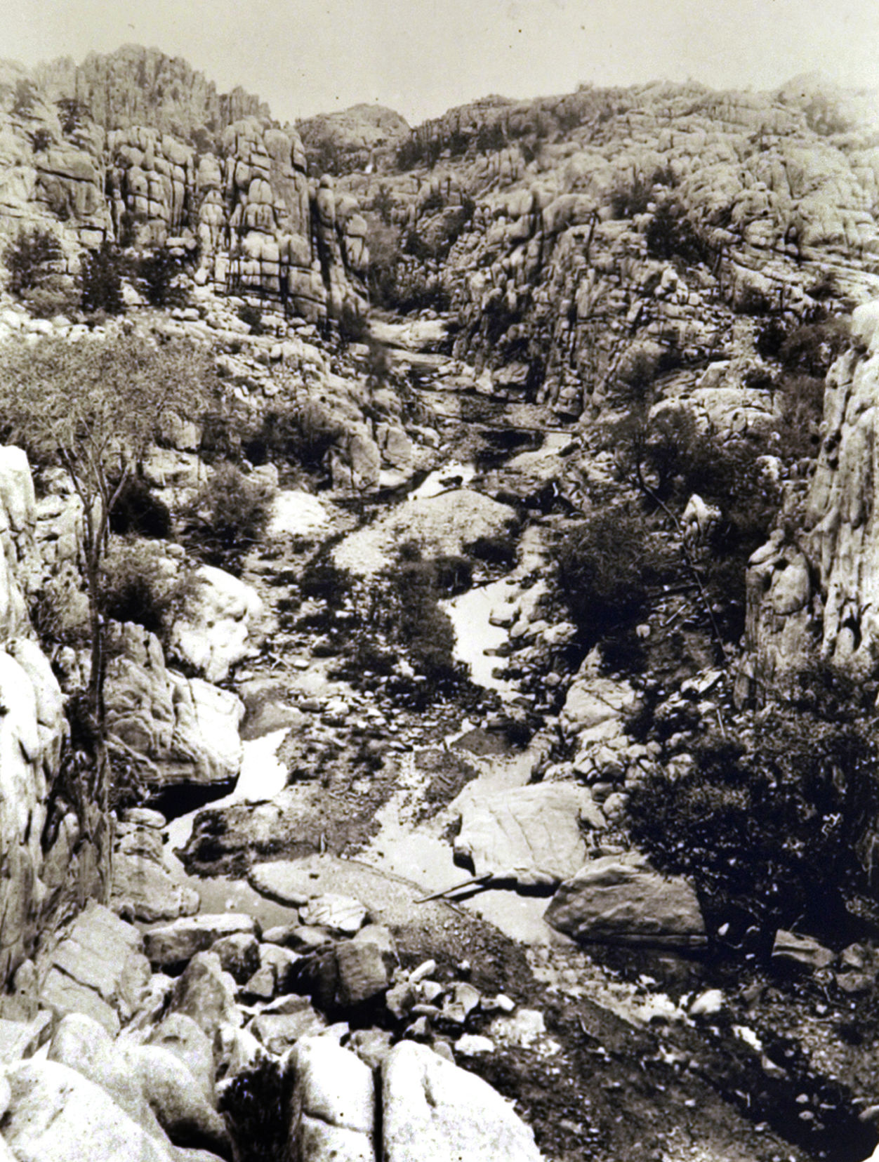 Sabino Canyon Recreation Area, Tucson
